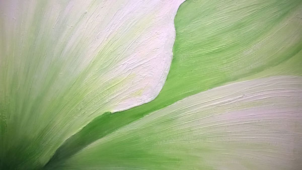 Arum Lily heart
